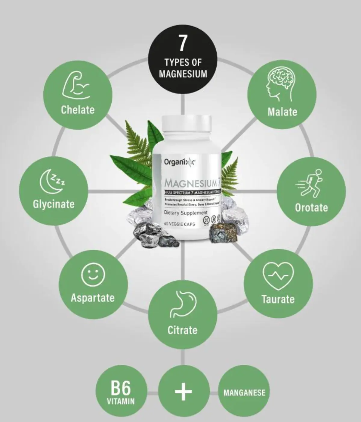 the-nutrispot-magnesium-7-supllement