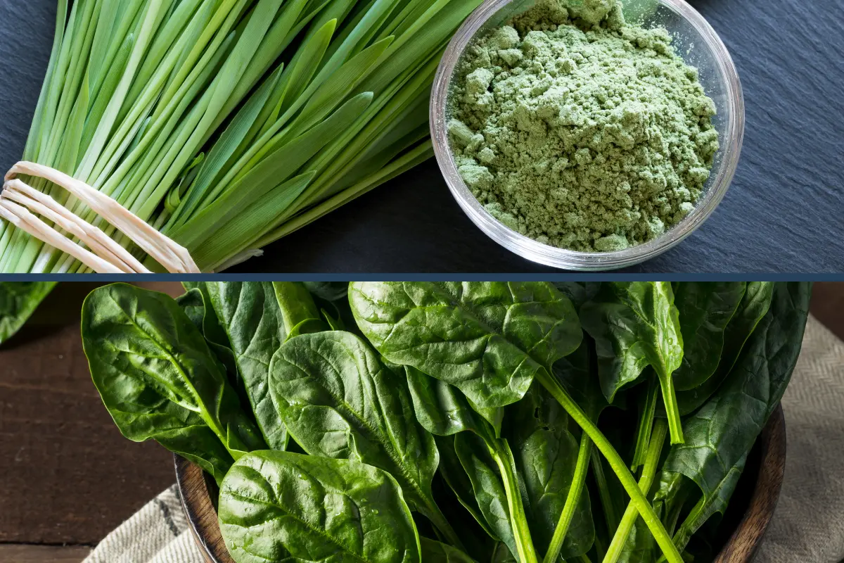 adding-greens-to-your-diet