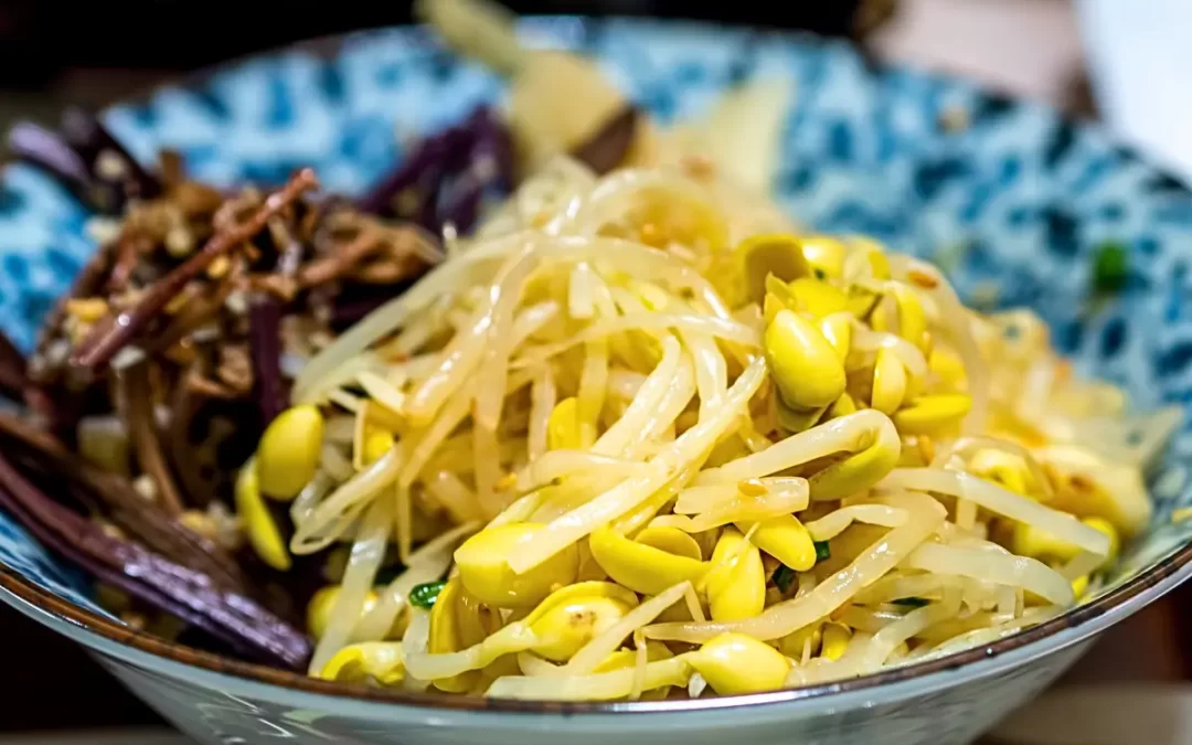 The Benefits of Sprouted and Fermented Fruit and Vegetables