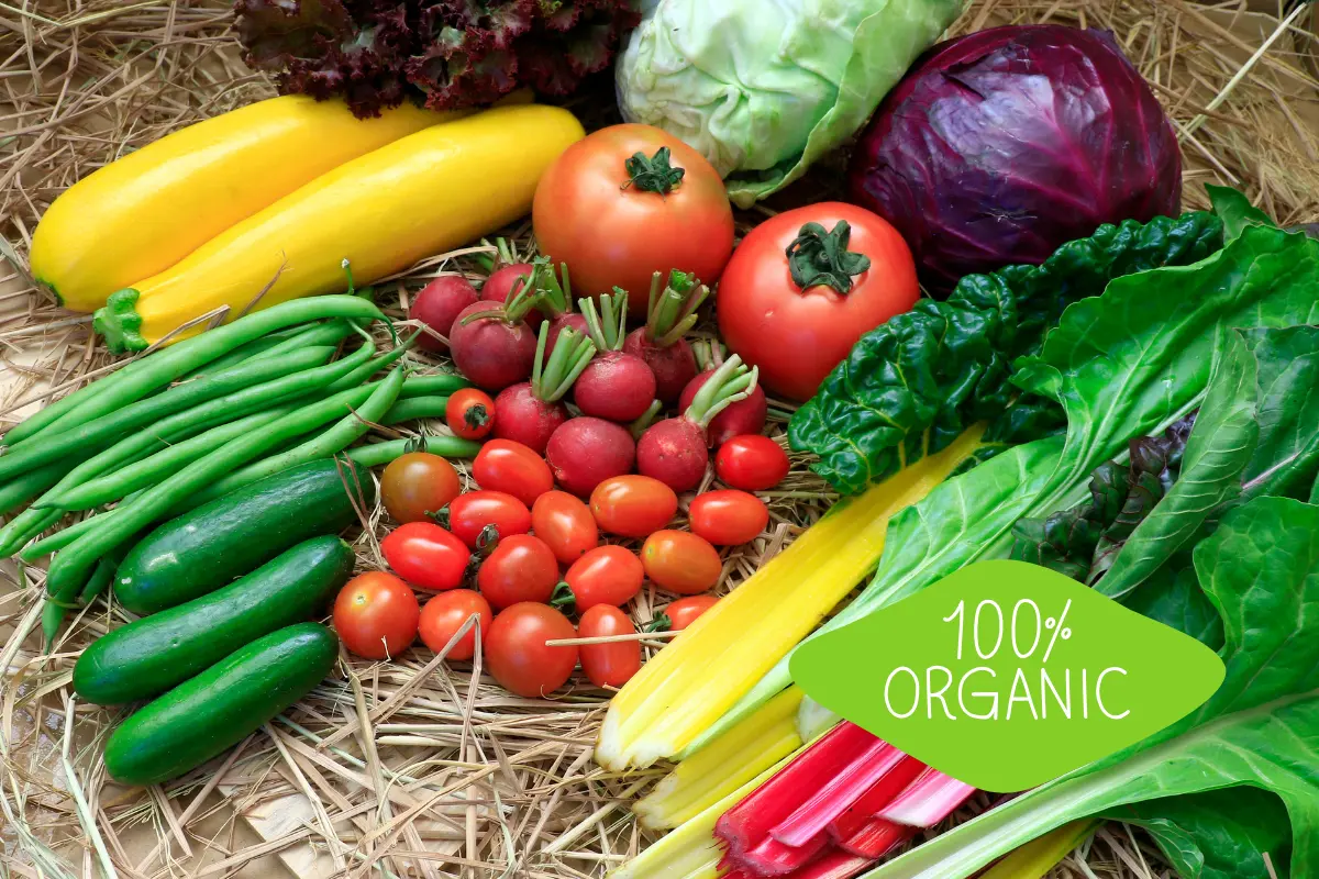 High-quality Organic 1 high-quality-organic-food