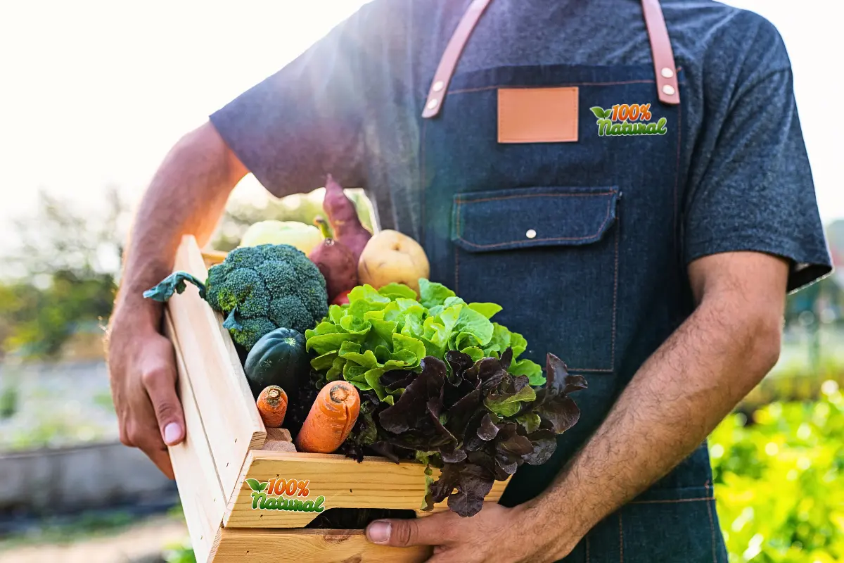 High-quality Organic 5 high-quality-organic-food